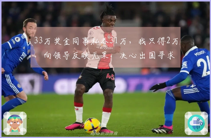 33万奖金同事私吞31万，我只得2万，向领导反映无果，决心出国寻求新机会